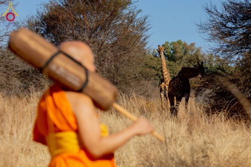 ภาพ No.232882:วันที่ 1 กรกฏาคม พ.ศ. 2568 Dhammayatra in South Africa 2025 ธรรมยาตราแอฟริกาใต้ — เส้นทางแห่งสติ สมาธิ และปัญญา ธรรมทายาทที่ได้อบรมโครงการบรรพชาอุปสมบทหมู่ครั้งที่ 2 ณ วัดพระธรรมกายโจฮันเนสเบิร์ก ประเทศแอฟริกาใต้