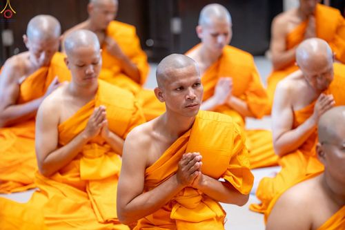 ภาพ No.350877:วันที่ 19 กันยายน พ.ศ.2569 พิธีบรรพชาอุปสมบท โครงการอุปสมบทหมู่บูชาธรรม ครบรอบ 109 ปี วันครูผู้ค้นพบวิชชาธรรมกาย ณ โบสถ์พระไตรปิฏก วัดพระธรรมกาย
