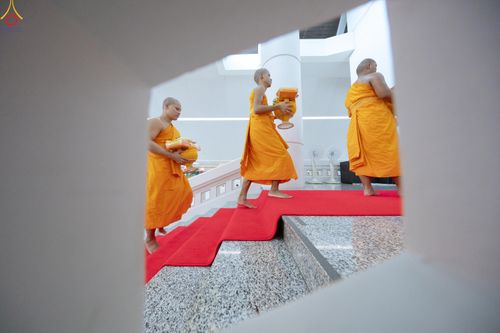 ภาพ No.330848:วันวิสาขบูชา อาทิตย์ที่ 31 พฤษภาคม พ.ศ.2569 พิธีบรรพชาสามเณรอุบาสก 11 ท่าน , พิธีถวายบาตรผ้าไตร และจตุปัจจัยไทยธรรม แด่สามเณร , พิธีอุปสมบทอุทิศชีวิต , พิธีกล่าวคำกัปปิยภัณฑ์  ณ อุโบสถพระไตรปิฎก วัดพระธรรมกาย จังหวัดปทุมธานี
