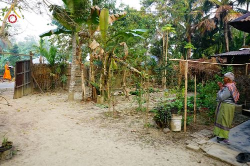 ภาพ No.76391:คณะสงฆ์และสามเณรบิณฑบาต ประเทศบังกลาเทศ วันที่ 11 กุมภาพันธ์ พ.ศ. 2566