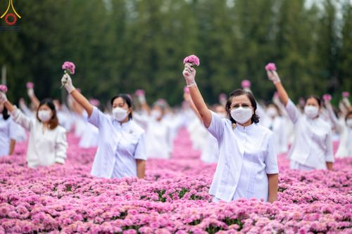 ภาพ No.104023:สาธุชนร่วมรับบุญเก็บดอกเบญจทรัพย์ ในวันอาทิตย์ที่ 24 ธันวาคม พ.ศ. 2566 ณ ทุ่งสวรรค์ตะวันฉาย บริเวณวัดพระธรรมกาย จ.ปทุมธานี