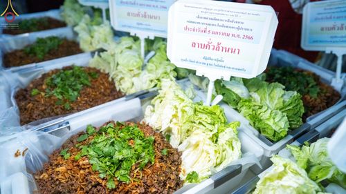 ภาพ No.69259:พิธีถวายภัตตาหารเป็นสังฆทาน แด่คณะพระธรรมยาตราฯ ในโครงการธรรมยาตราฯ ปีที่ 11 ณ อนุสรณ์สถานมหาวิหารพระมงคลเทพมุนี อ.สองพี่น้อง จ.สุพรรณบุรี วันที่ 4 และ 5 มกราคม พ.ศ. 2566