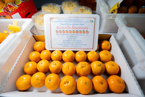 ภาพ No.301126:วันที่ 23 มกราคม พ.ศ. 2569 พิธีถวายภัตตาหารเป็นสังฆทาน แด่พระธรรมยาตรา ณ อนุสรณ์สถานบางปลา วัดบางปลา อำเภอบางเลน จังหวัดนครปฐม ในโครงการธรรมยาตรา กตัญญูบูชา มหาปูชนียาจารย์ พระมงคลเทพมุนี(สด จนฺทสโร) พระผู้ปราบมาร อนุสรณ์สถาน 7 แห่ง ปีที่ 14