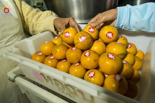 ภาพ No.290722:วันที่ 9 มกราคม พ.ศ. 2569 พิธีถวายภัตตาหารเป็นสังฆทาน แด่พระธรรมยาตรา ณ อนุสรณ์สถานคลองบางนางแท่น อ.สามพราน จ.นครปฐม ในโครงการธรรมยาตรา กตัญญูบูชา มหาปูชนียาจารย์ พระมงคลเทพมุนี(สด จนฺทสโร) พระผู้ปราบมาร อนุสรณ์สถาน 7 แห่ง ปีที่ 14