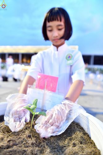 ภาพ No.253051:วันที่ 10 ตุลาคม พ.ศ. 2568 พิธีปลูกต้นทรัพย์บานชื่น ณ ลานธรรม วัดพระธรรมกาย