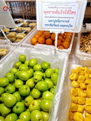 ภาพ No.203830:พิธีถวายภัตตาหารเป็นสังฆทาน แด่พระธรรมยาตรา ณ วัดพระธรรมกาย ตำบลคลองสาม อำเภอคลองหลวง จังหวัดปทุมธานี ในโครงการธรรมยาตรา กตัญญูบูชา มหาปูชนียาจารย์ พระมงคลเทพมุนี(สด จนฺทสโร) พระผู้ปราบมาร อนุสรณ์สถาน 7 แห่ง ปีที่ 13 วันที่ 30 มกราคม พ.ศ. 2568