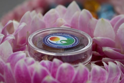 ภาพ No.3036:พิธีตอกเสาเข็มอาคารคุณยายอาจารย์ฯ “หนึ่งไม่มีสอง”