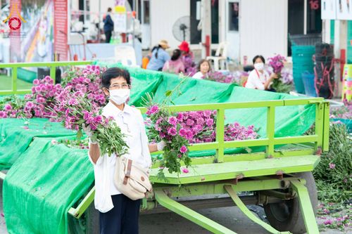 ภาพ No.279411:วันที่ 19-26 ธันวาคม พ.ศ. 2568 และ วันที่ 1 มกราคม พ.ศ.2569 รับบุญปลิดกลีบดอกไม้ เพื่อโปรยต้อนรับพระธรรมยาตรา