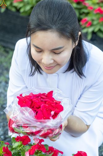 ภาพ No.281041:วันที่ 28 ธันวาคม พ.ศ.2568 กิจกรรมเก็บดอกแพงรวย ณ ทุ่งสวรรค์ตะวันฉาย วัดพระธรรมกาย