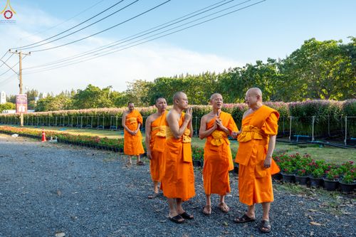 ภาพ No.280886:วันที่ 28 ธันวาคม พ.ศ.2568 กิจกรรมเก็บดอกแพงรวย ณ ทุ่งสวรรค์ตะวันฉาย วัดพระธรรมกาย