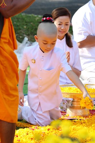 ภาพ No.305918:วันที่ 25 มกราคม พ.ศ. 2569 พิธีต้อนรับพระธรรมยาตรา วัดพระธรรมกาย(ภาพชุดที่ 4) ในโครงการธรรมยาตรา กตัญญูบูชา มหาปูชนียาจารย์ พระมงคลเทพมุนี(สด จนฺทสโร) พระผู้ปราบมาร อนุสรณ์สถาน 7 แห่ง ปีที่ 14