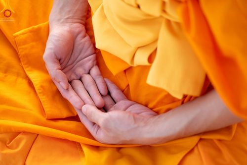 ภาพ No.41223:ประมวลภาพธรรมยาตรา ปฏิบัติธรรมและบันทึกภาพประวัติศาสตร์ ธรรมยาตรา ปีที่ 10