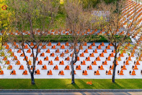 ภาพ No.41229:ประมวลภาพธรรมยาตรา ปฏิบัติธรรมและบันทึกภาพประวัติศาสตร์ ธรรมยาตรา ปีที่ 10