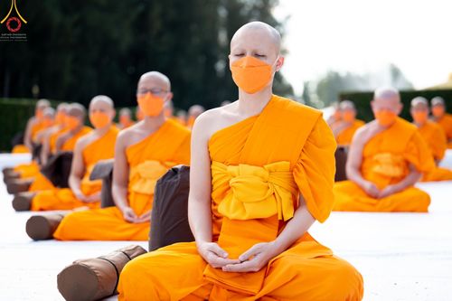 ภาพ No.41234:ประมวลภาพธรรมยาตรา ปฏิบัติธรรมและบันทึกภาพประวัติศาสตร์ ธรรมยาตรา ปีที่ 10