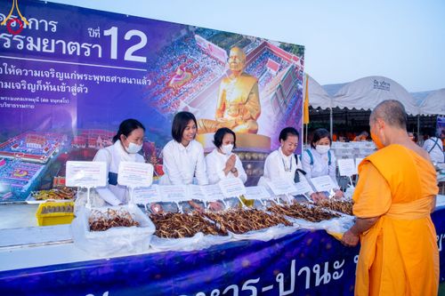 ภาพ No.116308:พิธีถวายภัตตาหารเป็นสังฆทาน แด่คณะพระธรรมยาตรา ปีที่ 12 วันที่ 21 มกราคม พ.ศ. 2567 ณ วัดโบสถ์(บน) บางคูเวียง จ.นนทบุรี