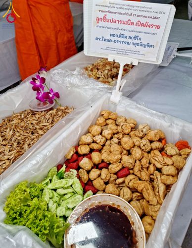 ภาพ No.119093:พิธีถวายภัตตาหารเป็นสังฆทาน แด่คณะพระธรรมยาตรา วันที่ 27 มกราคม พ.ศ. 2567 ณ อนุสรณ์สถานบางปลา จ.นครปฐม