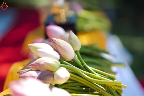 ภาพ No.148314:พิธีปฐมอุปสมบท สมโภชอุโบสถ บูชาธรรม 80 ปี หลวงพ่อธัมมชโย  วันอาทิตย์ที่ 11 สิงหาคม พ.ศ. 2567 วัดพระธรรมกายโทชิหงิ ประเทศญี่ปุ่น