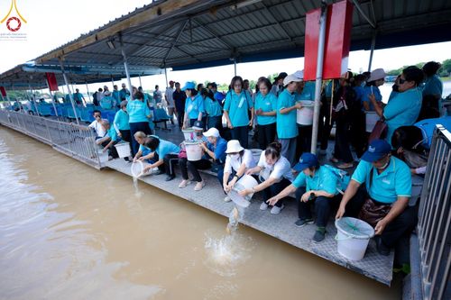 ภาพ No.150520:ชมรมจิตอาสาอนุรักษ์สิ่งแวดล้อม จัดกิจกรรมสหวาระเดือนเกิด ประจำเดือน สิงหาคม วันจันทร์ที่ 26 สิงหาคม พ.ศ. 2567