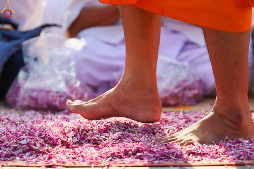 ภาพ No.113132:พิธีต้อนรับพระธรรมยาตรา ปีที่ 12 วันที่ 15 มกราคม พ.ศ. 2567 ณ วัดโบสถ์บน จ.นนทบุรี