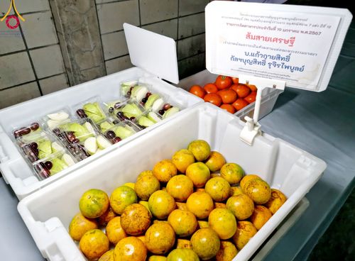 ภาพ No.115084:พิธีถวายภัตตาหารเป็นสังฆทาน แด่คณะพระธรรมยาตรา ปีที่ 12 วันที่ 19 มกราคม พ.ศ. 2567 ณ วัดโบสถ์(บน) บางคูเวียง จ.นนทบุรี