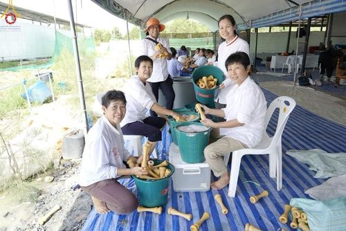 ภาพ No.211168:วันเสาร์ที่ 15 มีนาคม พ.ศ. 2568  การเตรียมงานของเจ้าหน้าที่ เพื่องานฉลองปทุมเจดีย์ ณ ศูนย์อบรมเยาวชนปัตตานี