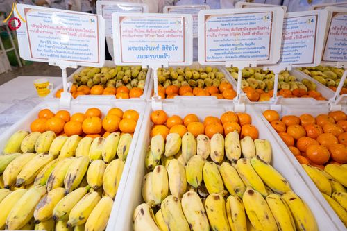 ภาพ No.307012:วันที่ 31 มกราคม พ.ศ. 2569 พิธีถวายภัตตาหารเป็นสังฆทาน แด่พระธรรมยาตรา ณ วัดพระธรรมกาย  จังหวัดปทุมธานี ในโครงการธรรมยาตรา กตัญญูบูชา มหาปูชนียาจารย์ พระมงคลเทพมุนี(สด จนฺทสโร) พระผู้ปราบมาร อนุสรณ์สถาน 7 แห่ง ปีที่ 14