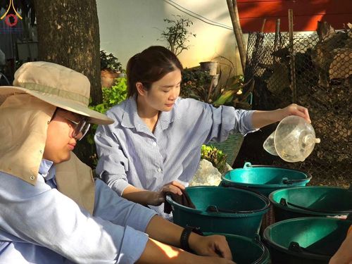 ภาพ No.186794:V.48 ผลงาน V-Peace ปลายปี 2567 ภาพโดย : ช่างภาพ V-Peace และ ช่างภาพศูนย์ภาพนิ่ง