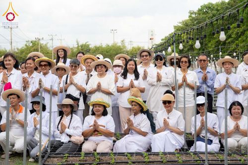 ภาพ No.346862:วันอาทิตย์ที่ 30 สิงหาคม พ.ศ.2569 การปักชำต้นกล้าเบญจทรัพย์ เพื่อเตรียมดอกไม้บูชาธรรม พระเดชพระคุณหลวงปู่ และโปรยต้อนรับพระธรรมยาตรา ปีที่ 15 ณ แปลงปลูก B ปทุมเจดีย์ วัดพระธรรมกาย