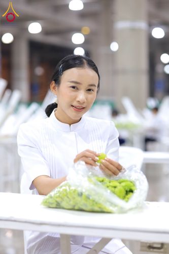 ภาพ No.303279:วันที่ 15-21 มกราคม พ.ศ.2569 ปลิดกลีบดอกเบญจทรัพย์ เพื่อโปรยต้อนรับพระธรรมยาตรา ในโครงการธรรมยาตรา กตัญญูบูชา มหาปูชนียาจารย์ พระมงคลเทพมุนี(สด จนฺทสโร) พระผู้ปราบมาร อนุสรณ์สถาน 7 แห่ง ปีที่ 14 ณ วิหารคด วัดพระธรรมกาย