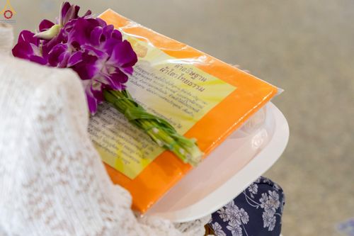 ภาพ No.240581:วันพุธที่ 27 สิงหาคม พ.ศ. 2568 พิธีตักบาตร ในวันธรรมชัย ณ วัดพระธรรมกาย จ.ปทุมธานี