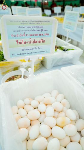 ภาพ No.70406:พิธีถวายภัตตาหารเป็นสังฆทาน แด่คณะพระธรรมยาตราฯ ในโครงการธรรมยาตราฯ ปีที่ 11 ณ อนุสรณ์สถานคลองบางนางแท่น อ.สามพราน จ.นครปฐม วันที่ 12 มกราคม พ.ศ. 2566