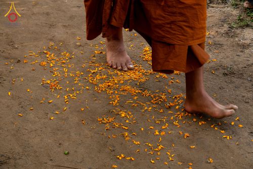 ภาพ No.310007:วันที่ 3-8 กุมภาพันธ์ พ.ศ. 2569 ธรรมยาตราบังกลาเทศ (Rajban Vihar - Khagrachri) ณ ประเทศบังกลาเทศ (Bangladesh)