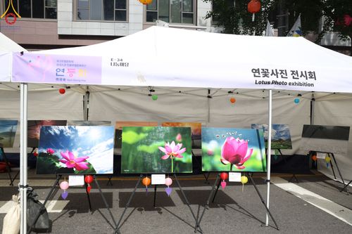 ภาพ No.81117:Lotus Lantern Festival 2023  เทศกาลโคมดอกบัว เนื่องในวันวิสาขบูชา   ของชาวพุทธทุกชาติ ทุกนิกาย ในสาธารณรัฐเกาหลีใต้ วันที่ 20-21 พฤษภาคม พ.ศ. 2566