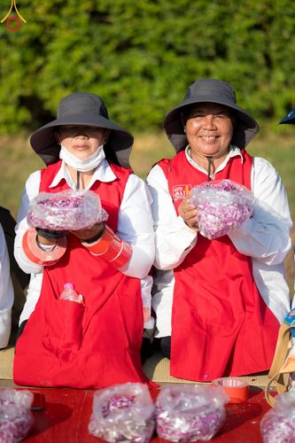 ภาพ No.191432:V.49 สารพัดV สารพัดดี ที่ธรรมยาตรา ในโครงการธรรมยาตรา กตัญญูบูชา มหาปูชนียาจารย์ พระมงคลเทพมุนี(สด จนฺทสโร) พระผู้ปราบมาร อนุสรณ์สถาน 7 แห่ง ปีที่ 13 ระหว่างวันที่ 2-31 มกราคม พ.ศ. 2568