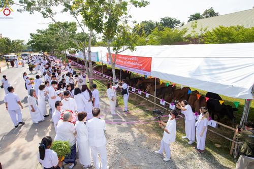 ภาพ No.86583:พิธีบุพเปตพลีนานาชาติ ปีที่ 10  วันเสาร์ที่ 19 สิงหาคม 2566  ณ ศูนย์ปฏิบัติธรรมภาคใต้ อ.บางกล่ำ จ.สงขลา