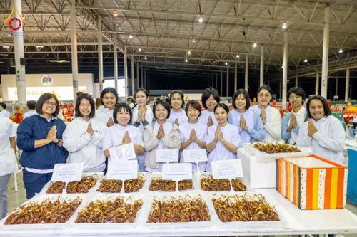 ภาพ No.202713:พิธีถวายภัตตาหารเป็นสังฆทาน แด่พระธรรมยาตรา ณ วัดพระธรรมกาย ตำบลคลองสาม อำเภอคลองหลวง จังหวัดปทุมธานี ในโครงการธรรมยาตรา กตัญญูบูชา มหาปูชนียาจารย์ พระมงคลเทพมุนี(สด จนฺทสโร) พระผู้ปราบมาร อนุสรณ์สถาน 7 แห่ง ปีที่ 13 วันที่ 28 มกราคม พ.ศ. 2568