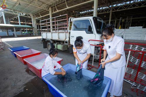 ภาพ No.86868:พิธีตักบาตร , พิธีบูชาข้าวพระ , พิธีจุดเทียนใจ ไฟนิรันดร์ อนันตชัย ในวันอาทิตย์ต้นเดือน 3 กันยายน พ.ศ. 2566 ณ วัดพระธรรมกาย