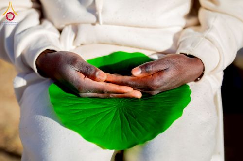 ภาพ No.231135:วันศุกร์ที่ 27 มิถุนายน พ.ศ. 2568 พิธีตัดปอยผมและพิธีปลงผมนาคธรรมทายาทแห่งทวีปแอฟริกา พ.ศ. 2568  โครงการบรรพชาอุปสมบทพระธรรมทายาทนานาชาติแห่งทวีปแอฟริกา ครั้งที่ 2 ณ วัดพระธรรมกายโจฮันเนสเบิร์ก สาธารณรัฐแอฟริกาใต้