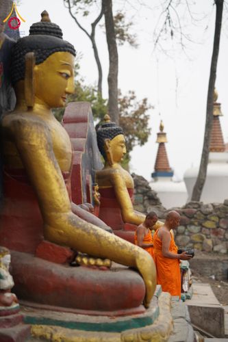 ภาพ No.132510:สามเณรเนปาล บิณฑบาต ย่านทาเมล เมืองกาฐมาณฑุ และเมืองปาฏัน ในโครงการบรรพชา 1,250 รูป ประเทศเนปาล วันที่ 20 มีนาคม พ.ศ. 2567