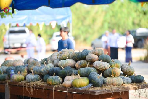 ภาพ No.210640:วันพฤหัสบดีที่ 13 มีนาคม พ.ศ. 2568  สมโภชพระประธานอุโบสถวัดป่าอุบลแก้ว จังหวัดอุบลราชธานี