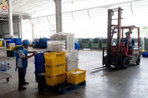 ภาพ No.60804:V.37 ยิ่งกว่าดี เพื่อ 80 ปีของพ่อ ภาพการเตรียมงานของหน่วยงานต่างๆ เพื่อพิธีฉลองอายุวัฒนมงคล 80 ปี หลวงพ่อธัมมชโย และรับถวายมหาสังฆทาน 10,000 กว่าวัดทั่วประเทศ ในวันคุ้มครองโลก วันจันทร์ที่ 22 เมษายน พ.ศ. 2567