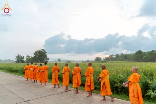 ภาพ No.217910:วันศุกร์ที่ 11 เมษายน พ.ศ. 2568 พระและสามเณร 99 รูป จากศูนย์ปฏิบัติธรรมระยอง(บ้านช่องลม) บิณฑบาต ณ ทุ่งปอเทือง ต.บางบุตร อ.บ้านค่าย จ.ระยอง เพื่อเป็นการฝึกสามเณรภาคฤดูร้อน ผ่านกิจวัตรบิณฑบาตในพื้นที่ชุมชน