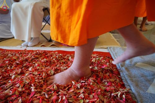 ภาพ No.188396:พิธีต้อนรับพระธรรมยาตรา ในโครงการธรรมยาตรา กตัญญูบูชา มหาปูชนียาจารย์ พระมงคลเทพมุนี(สด จนฺทสโร) พระผู้ปราบมาร อนุสรณ์สถาน 7 แห่ง ปีที่ 13 วันที่ 2 มกราคม พ.ศ. 2568 ณ วัดพระธรรมกาย จ.ปทุมธานี