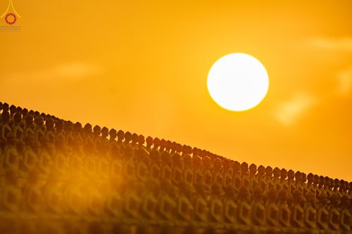 ภาพ No.187716:พิธีตักบาตรฉลองพระใหม่ ต้อนรับพุทธศักราช 2568 ณ ลานธรรมพระมหาธรรมกายเจดีย์ วัดพระธรรมกาย จ.ปทุมธานี วันที่ 1 มกราคม พ.ศ. 2568