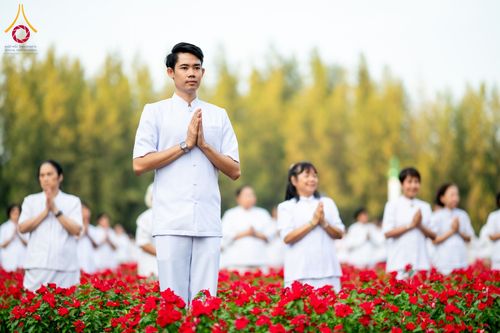 ภาพ No.185439:กิจกรรมเก็บดอกแพงรวย วันอาทิตย์ที่ 22 ธันวาคม พ.ศ. 2567 ณ ทุ่งสวรรค์ ตะวันฉาย วัดพระธรรมกาย