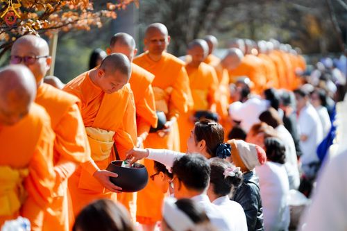 ภาพ No.184532:ปฐมกฐิน วัดพระธรรมกายนางาโน่ ประเทศญี่ปุ่น สร้างห้องครัวมหาทานบารมีและหอฉัน บูชาธรรม 80 ปีหลวงพ่อธัมมชโย วันที่ 13 พฤศจิกายน พ.ศ. 2567