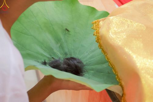 ภาพ No.216160:วันเสาร์ที่ 5 เมษายน พ.ศ. 2568 พิธีตัดปอยผม พิธีขอขมาผู้ปกครอง พิธีขอขมามอบผ้าไตร พิธีบรรพชา พิธีถวายบาตรสามเณร ณ ศูนย์ปฏิบัติธรรมและศูนย์อบรมเยาวชนเพชรบุรี ต.ท่าแลง อ.ท่ายาง จ.เพชรบุรี