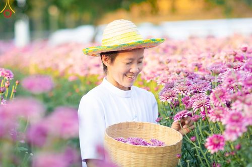 ภาพ No.102894:สาธุชนร่วมรับบุญเก็บดอกเบญจทรัพย์ ในวันที่ 19 ธันวาคม พ.ศ. 2566 (วันแรก) ณ บริเวณวัดพระธรรมกาย จ.ปทุมธานี