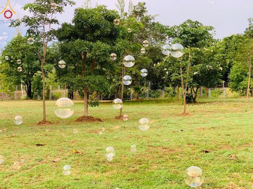 ภาพ No.155819:โครงการ อุบาสกแก้ว อุบาสิกาแก้ว รุ่นที่ 3 ตัวแทนทอดกฐินสามัคคีทั่วไทย 30,000 วัด ระหว่างวันที่ 20-22 กันยายน พ.ศ. 2567 ณ ศูนย์ปฏิบัติธรรมและศูนย์อบรมเยาวชนเพชรบุรี ตำบลท่าแลง อำเภอท่ายาง จังหวัดเพชรบุรี