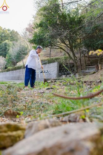 ภาพ No.61662:วัดป่าธรรมกายนานาชาติโทชิหงิ จัดปฏิบัติธรรมสุดสัปดาห์ ระหว่างวันที่ 12-14 เมษายน พ.ศ. 2567 (รุ่นเทศกาลสงกรานต์)